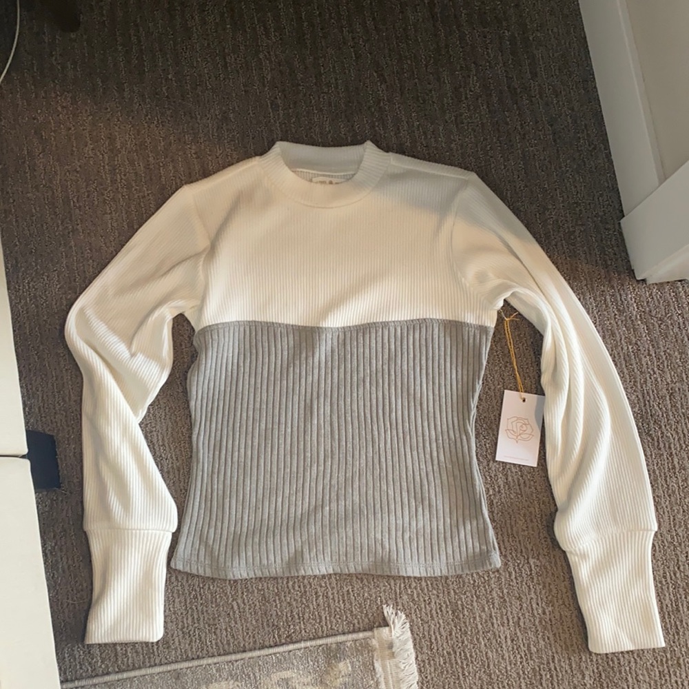 Backyard roses sweater